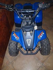 Quad 50