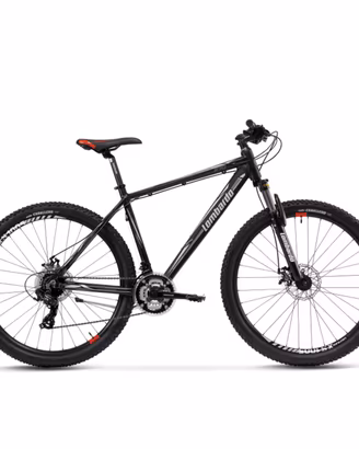 bicicletta