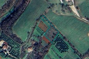 Terreno agricolo ad Orgiano (VI)