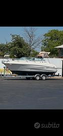 Sessa Islamorada 23