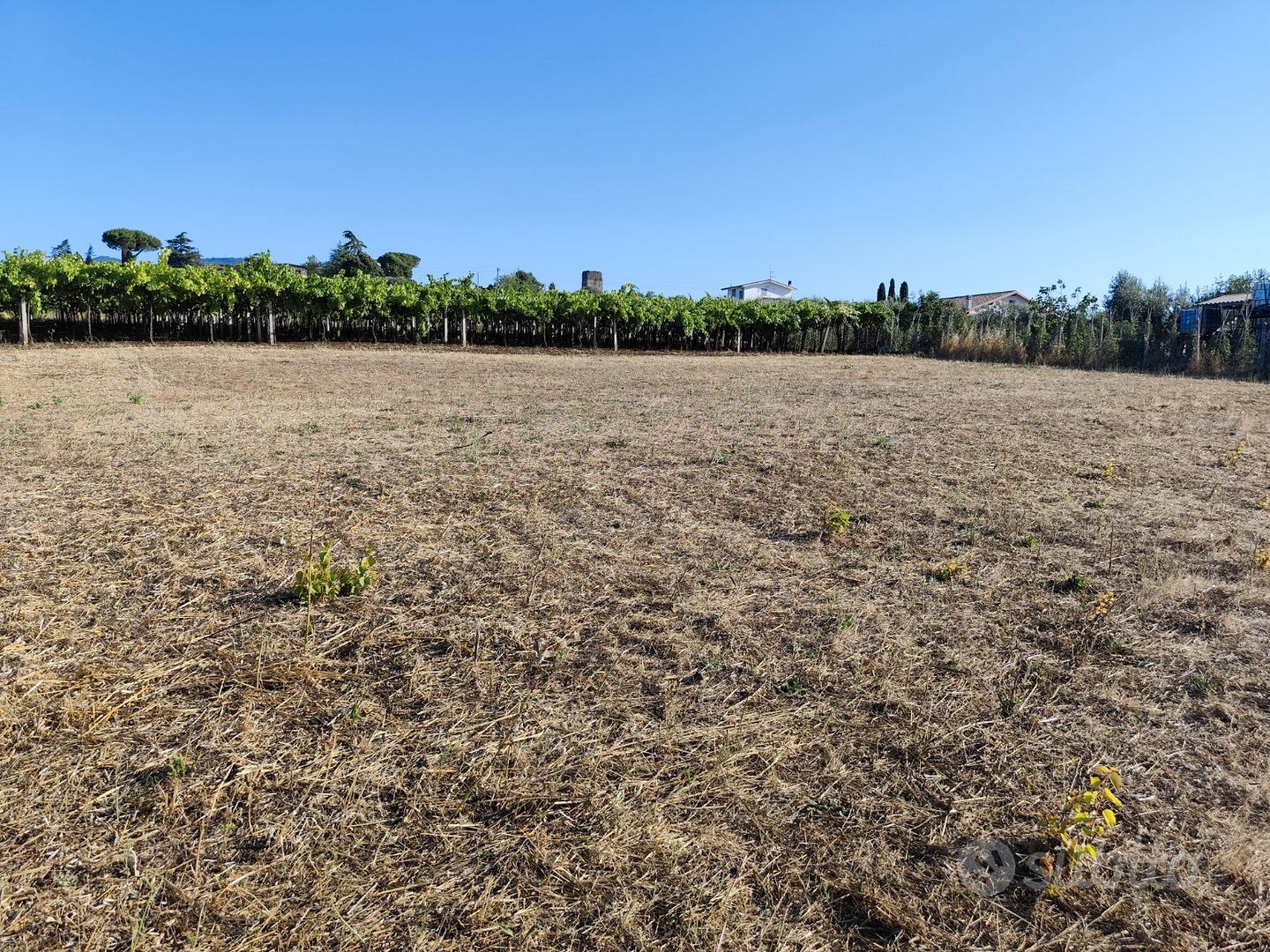 Terreno agricolo - Vista 3
