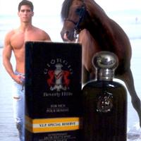 PREGIATO - V.I.P. BEVERLY HILLS FOR MEN 30ml Spray