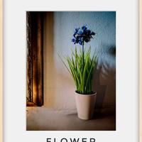 photo artistiche 40x30 