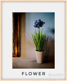 photo artistiche 40x30 