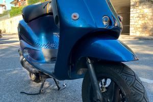 Zip fast rider Piaggio