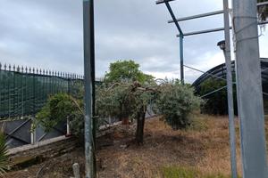 Terreno adatto per ZES