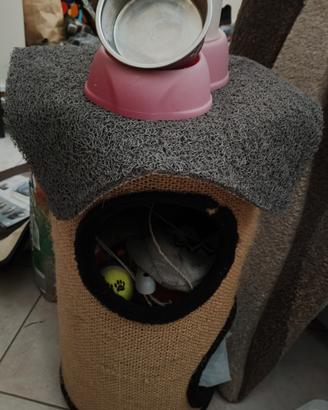 accessori per gatti 