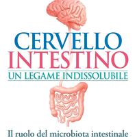 Cervello-intestino: un legame indissolubile