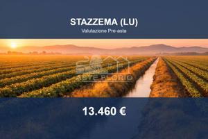 Immobile in asta di 3219 m² a Stazzema