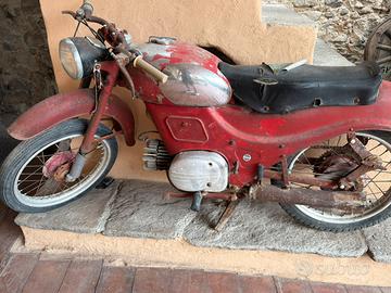 guzzi zigolo del 55