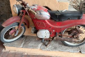 guzzi zigolo del 55