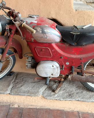 guzzi zigolo del 55