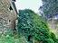 Immagine 8