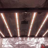 LAMPADA DIMLUX PER GROW BOX 730WATT