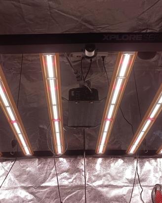 LAMPADA DIMLUX PER GROW BOX 730WATT