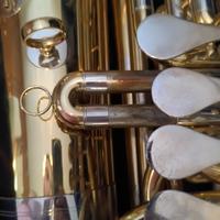 bassotuba 