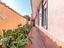 Immagine 7