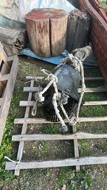 Differenziale posteriore eurocargo