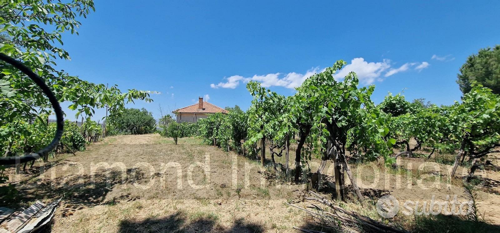 Terreno agricolo 7,5 ettari Castiglione di Sicilia - Vista 3
