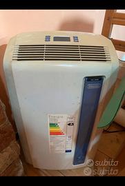 Pinguino De Longhi deumidificatore/climatizzatore