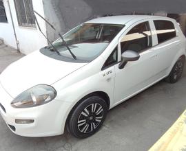 Fiat Punto 1.2 BENZINA Young NAVIGATORE
