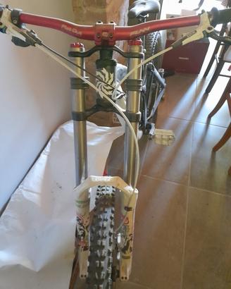 bici downhill
