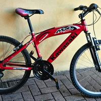 Bicicletta ragazzo 24"