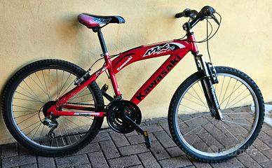 Bicicletta ragazzo 24"