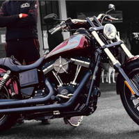 Harley davidson dyna street bob