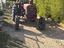 Immagine 11