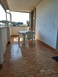 Lavinio mare