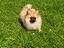 Immagine 3