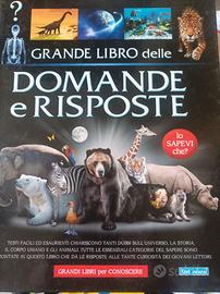 Il grande libro delle domande e delle risposte