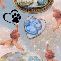 Box Con Candela Cane Angelo 