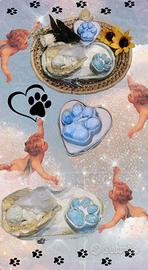 Box Con Candela Cane Angelo 