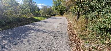 TER. AGRICOLO A MONTESARCHIO