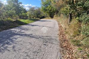 TER. AGRICOLO A MONTESARCHIO