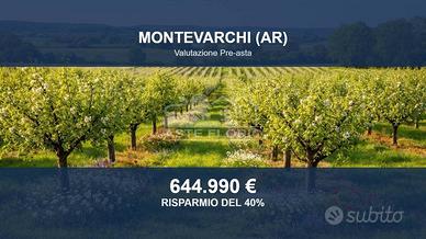 Immobile in asta di 785232 m² a Montevarchi