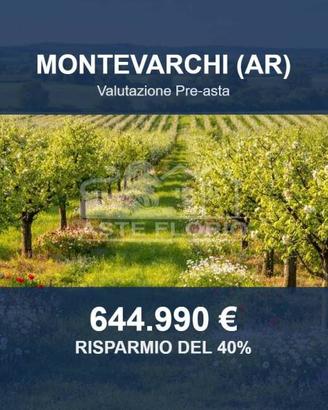 Immobile in asta di 785232 m² a Montevarchi