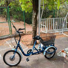 bici elettrica a tre ruote 