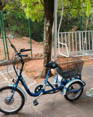 bici elettrica a tre ruote 