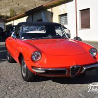 Alfa Romeo Duetto “Osso di Seppia”