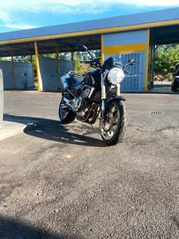 honda hornet 600