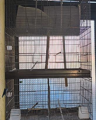 Gabbia per uccelli 90×42×40 cm