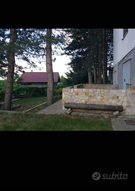 TAVERNETTA immersa nel verde del PARCO DELLA SILA