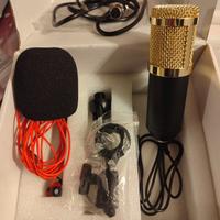 Microfono professionale