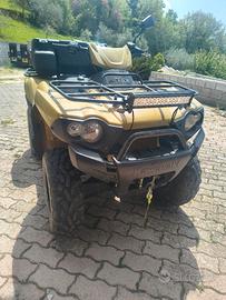 quad Kawasaki brute force 750