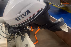 motore Selva 20 hp Whaoo