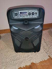 cassa audio 1000w 