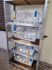 Gabbie da cova 60cm complete acessori in batteria